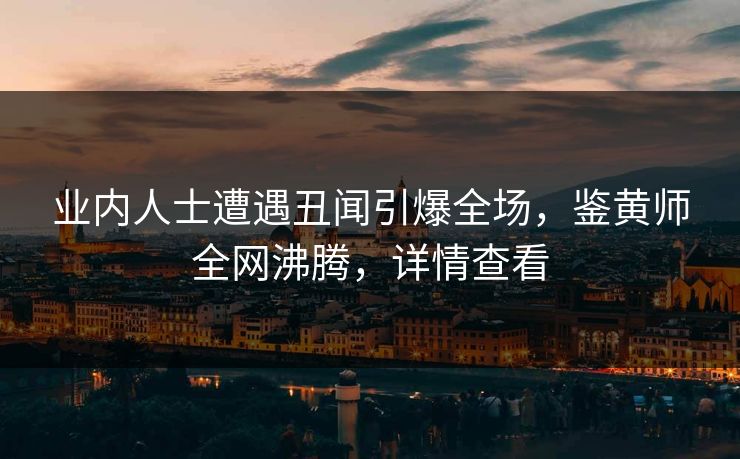 业内人士遭遇丑闻引爆全场，鉴黄师全网沸腾，详情查看