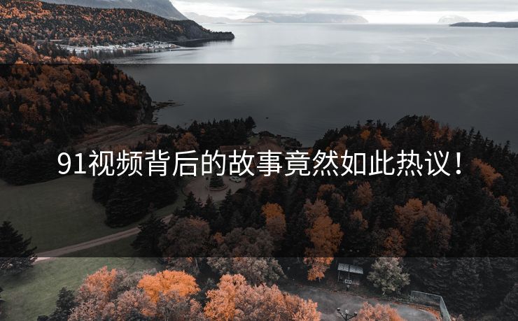 91视频背后的故事竟然如此热议！