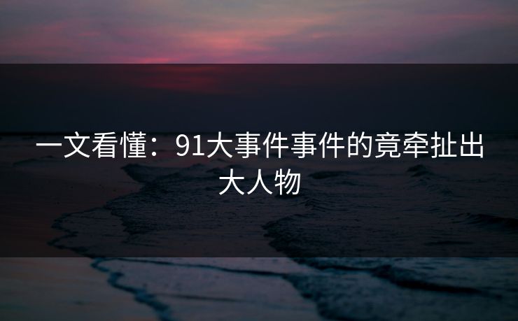 一文看懂：91大事件事件的竟牵扯出大人物