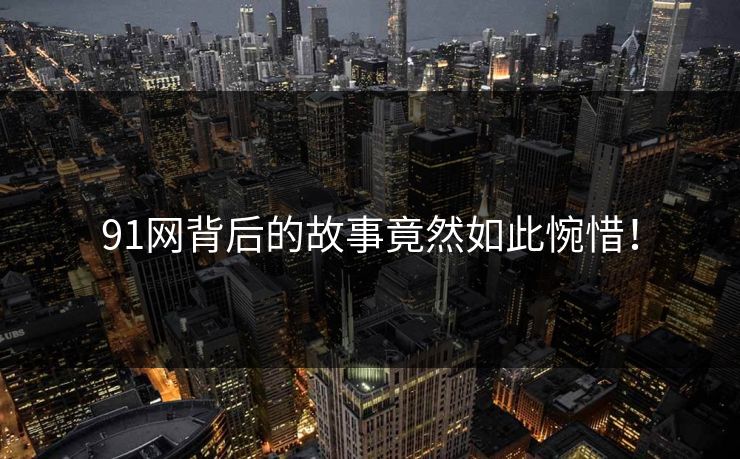 91网背后的故事竟然如此惋惜！