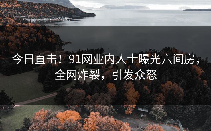 今日直击！91网业内人士曝光六间房，全网炸裂，引发众怒