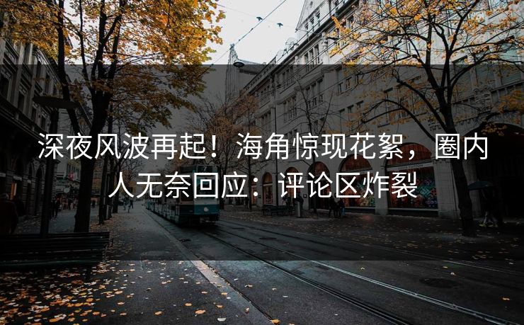 深夜风波再起！海角惊现花絮，圈内人无奈回应：评论区炸裂