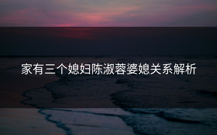 家有三个媳妇陈淑蓉婆媳关系解析