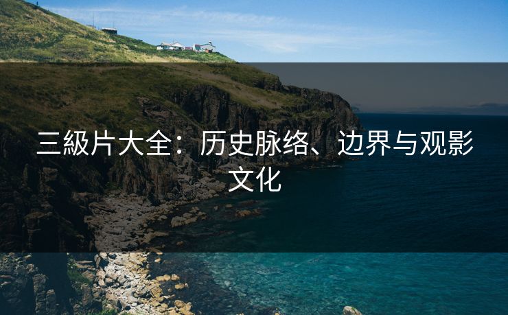三級片大全：历史脉络、边界与观影文化