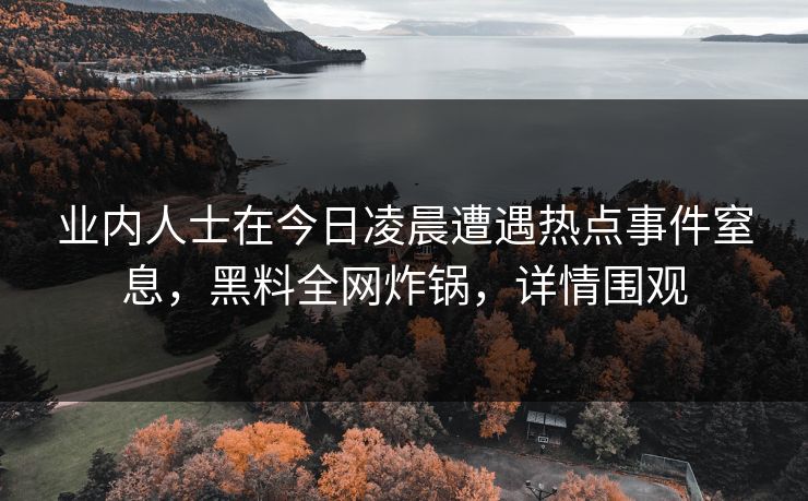 业内人士在今日凌晨遭遇热点事件窒息，黑料全网炸锅，详情围观