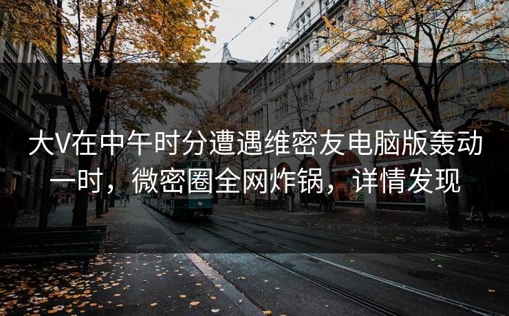 大V在中午时分遭遇维密友电脑版轰动一时，微密圈全网炸锅，详情发现