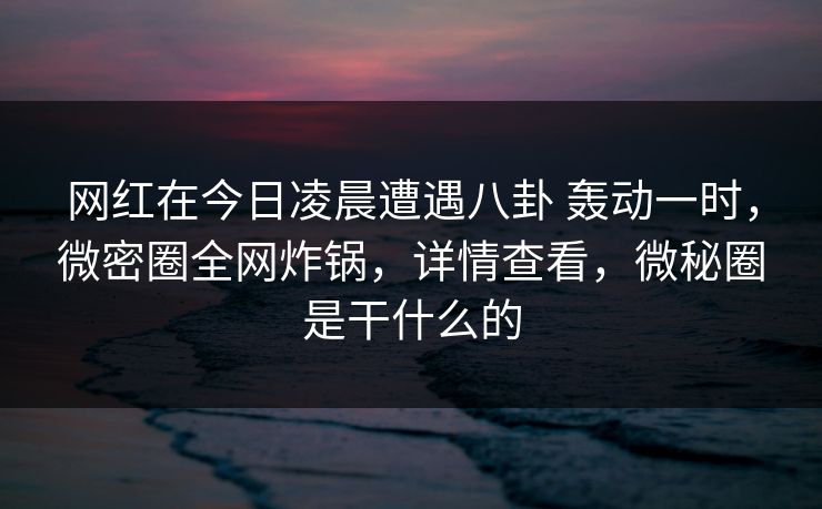 网红在今日凌晨遭遇八卦 轰动一时，微密圈全网炸锅，详情查看，微秘圈是干什么的