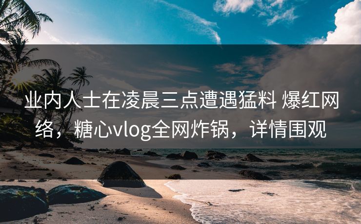 业内人士在凌晨三点遭遇猛料 爆红网络，糖心vlog全网炸锅，详情围观